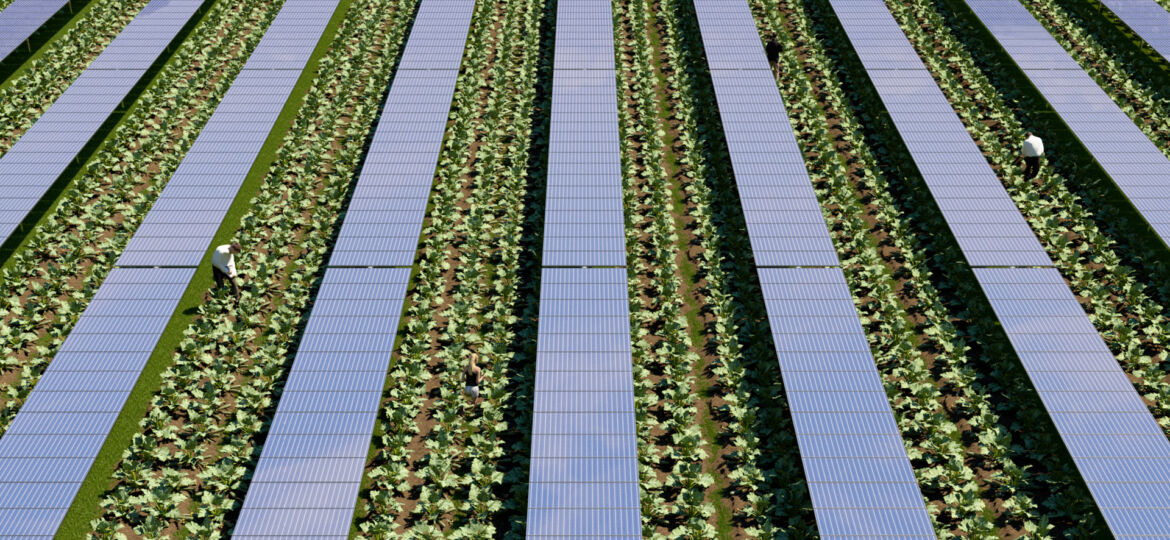 Agrivoltaico slider